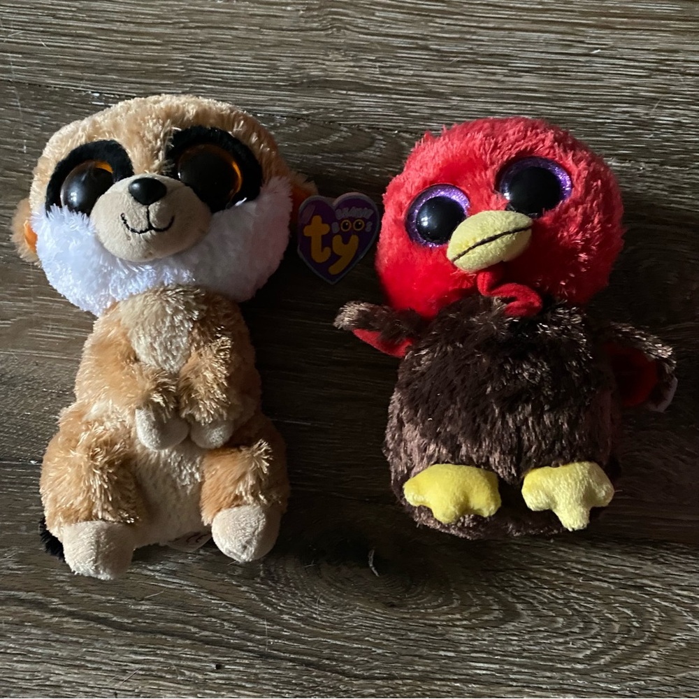 TY Beanie Babys Set Of‎ Five